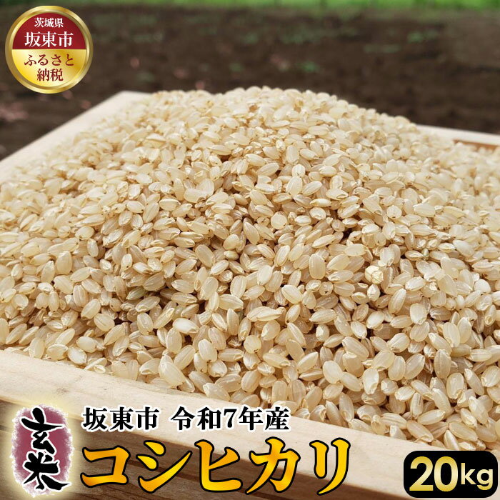 【ふるさと納税】 玄米　コシヒカリ20kg【令和7年産】 ／ 自然 お米 米 こめ 送料無料 茨城県 No.411