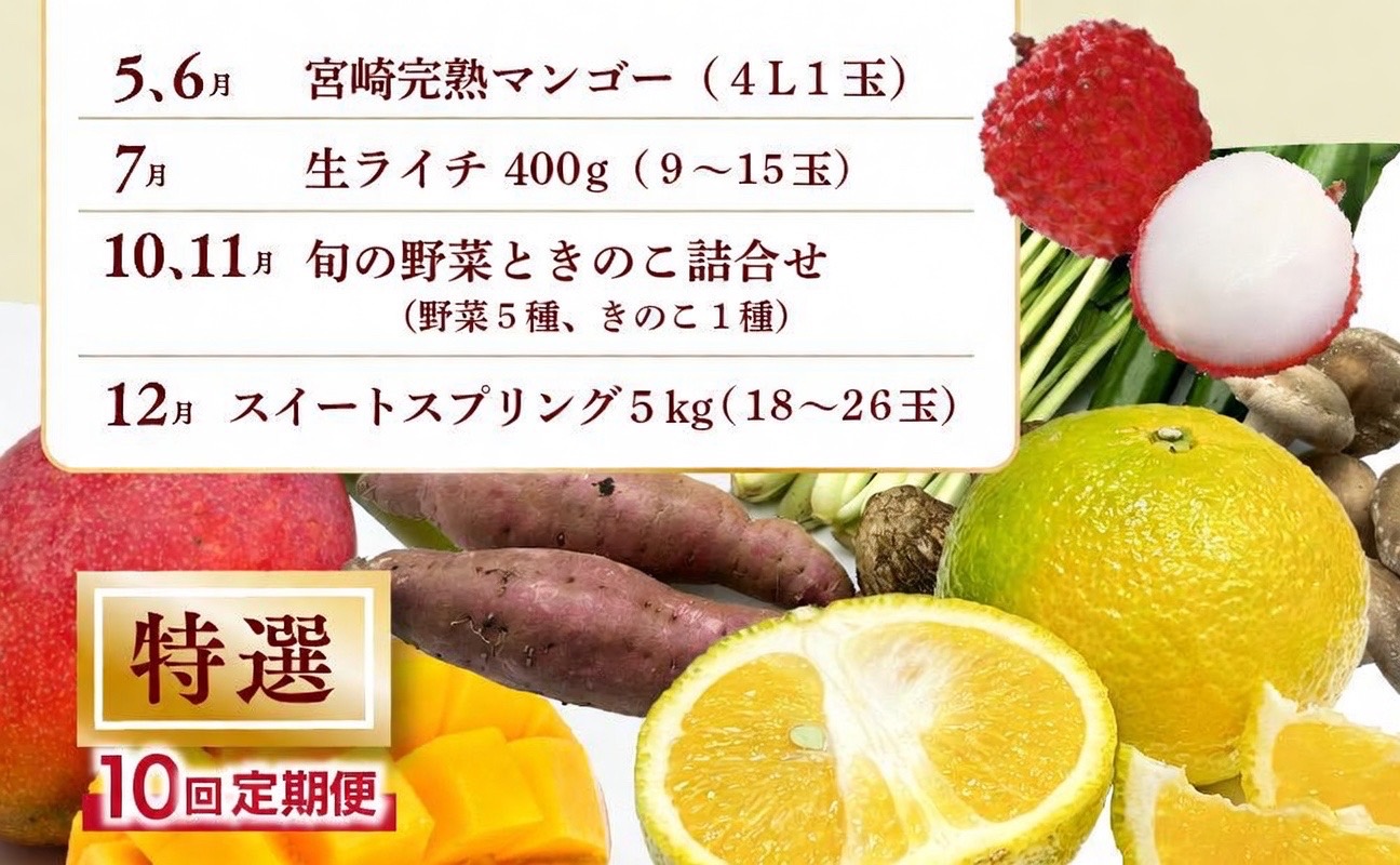 【全10回お届け】特選！！宮崎県綾町産 果物・野菜定期便 [Y21]_A0113-004