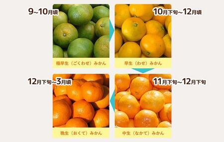 小玉みかん 極早生 箱込 2.5kg (内容量約 2.3kg) 2Sサイズ以下 秀品 優品 混合 有田みかん 和歌山県産 【みかんの会】　