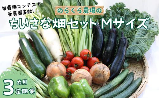 【先行受付】定期便3カ月　有機野菜ちいさな畑セット（Mサイズ　２～３人前）（NK-T502）