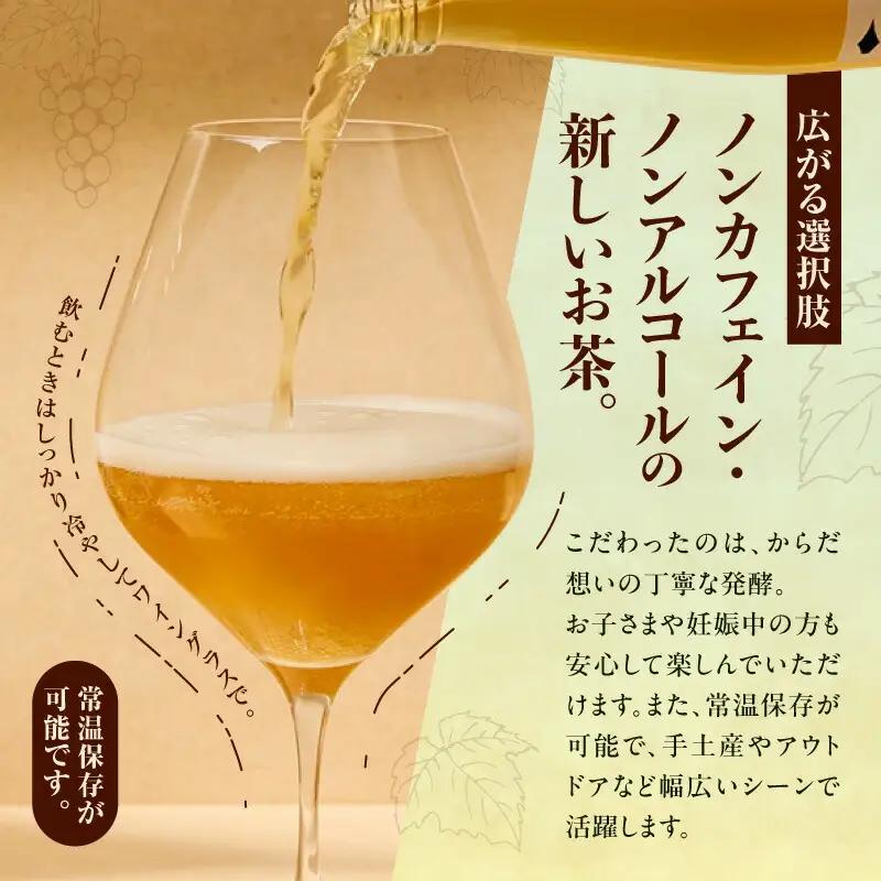 北海道TEAコンブチャ ブドウリーフ発酵 炭酸ドリンク 健康志向 甘さ控えめ_Y037-0348