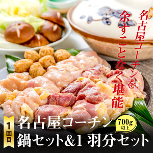 【半年に1回　計2回定期便】名古屋コーチン鍋&名古屋コーチン1羽分セット・名古屋コーチン焼鳥セット 名古屋コーチン鍋 冷凍鍋 地鶏鍋 焼鳥 おつまみ バーベキュー 小分け 名古屋コーチン 冷凍焼鳥 地
