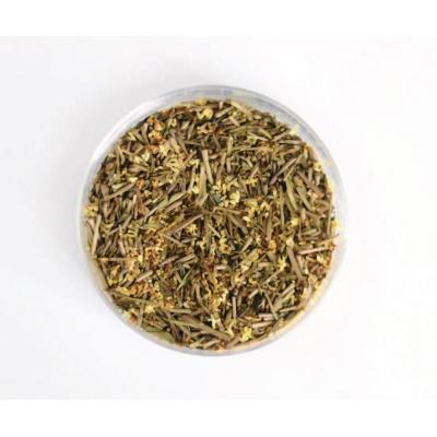 ふるさと納税 岐阜県 和紅茶カモミール(ティーバッグ) & 金木犀ほうじ茶(ティーバッグ) |  | 03