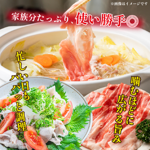 【数量限定】九州産 豚バラ スライス 3.2kg（ 国産 豚 豚肉 豚バラ しゃぶしゃぶ 小分け バラ 大容量 冷凍 ）