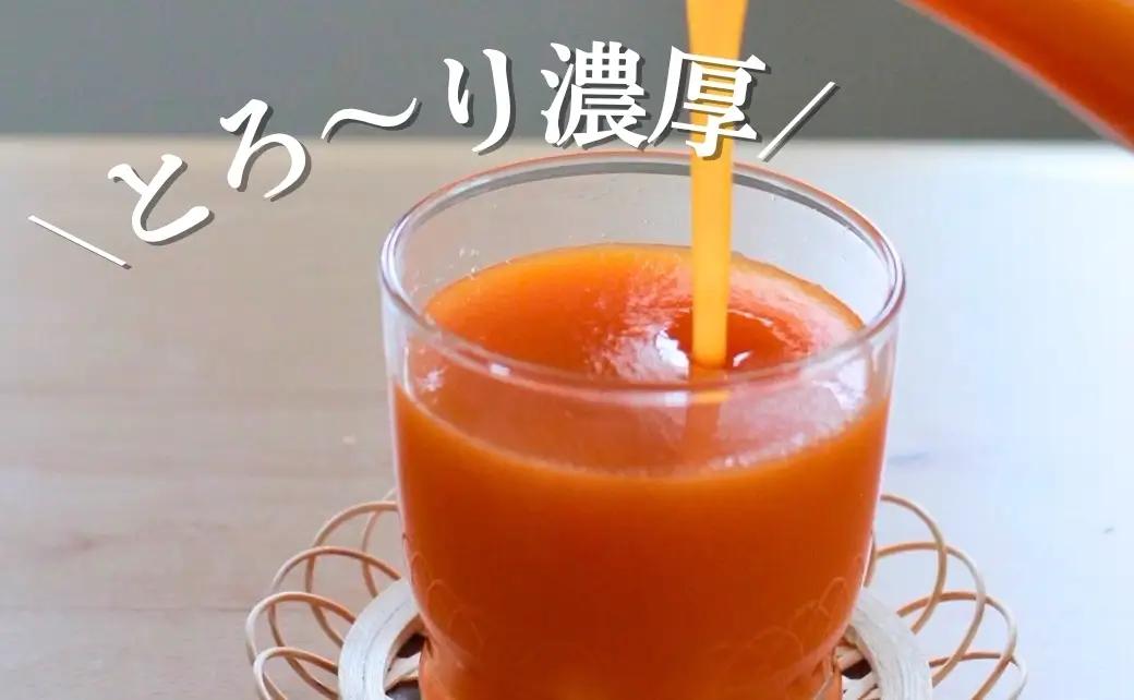 【4か月定期便】信州 千曲のあんずネクター ジュース  720ml 6本セット｜ 杏子 果物 フルーツ 長野県産 千曲市