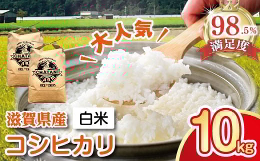
            新米 令和7年産 コシヒカリ 白米 10kg 【V012W1】 5kg 10kg 米 こしひかり 新米 コシヒカリ おこめ 贈り物 人気米 ご飯 白米 コメ 贈答 滋賀県 近江八幡市
          