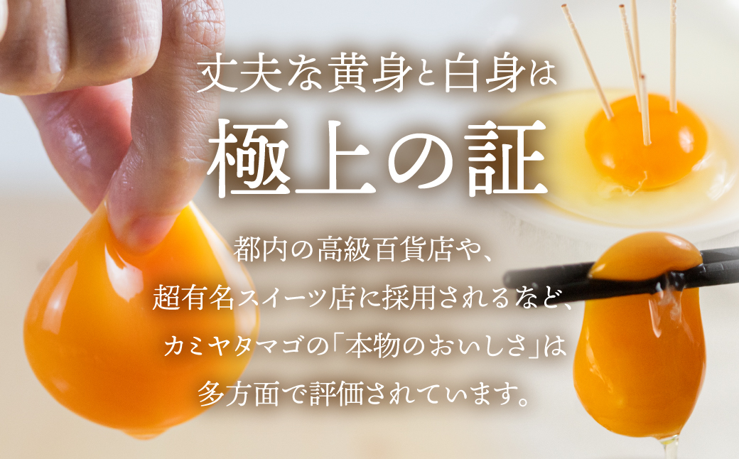 【感動の卵体験】コク旨 極上卵 60 個 割れ保証付き こだわり たまご 卵