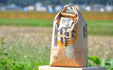 【遠藤農園】令和6年度 山形県高畠町産 特別栽培米 雪若丸 白米 5kg(1袋) 精米 米 お米 おこめ ごはん ブランド米 産地直送 農家直送 F21B-162