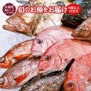 【ふるさと納税】 5種以上お任せ 期間限定 5月～12月中旬発送 旬 の お魚 をお届け 三陸産 冷蔵