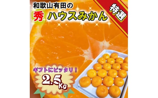 
特撰品！和歌山有田の「ハウスみかん」【赤秀】約2.5kg 化粧箱入り（５月以降発送）
