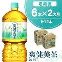 【ふるさと納税】【2か月定期便】爽健美茶 2L×6本(1ケース)【コカコーラ カフェインゼロ 香ばしい おいしい ブレンド茶 お茶 国産 ハトムギ 玄米 大麦 ドクダミ ハブ茶 チコリー 麦芽 植物素材 飲料 お徳用 ペットボトル】 A-R090352