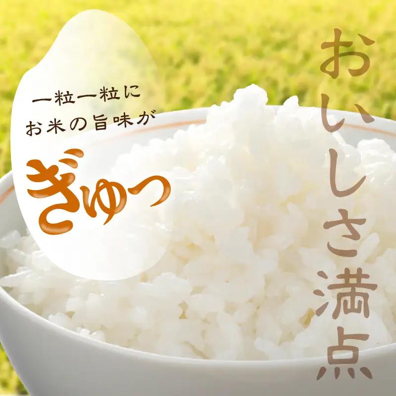 【令和7年】特別栽培米コシヒカリ3kg コシヒカリ 京丹後市