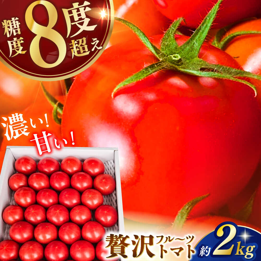 【ふるさと納税】【申込は6月下旬頃まで】高知県高知市産 贅沢フルーツトマト 約2kg /トマト とまと 高知 フルーツ 果物 高知 【片山農園】[ATCI001]