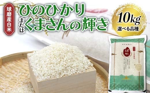 
            FKP9-680var ＼選べる品種／ 【令和7年度産】球磨産白米 計10kg ひのひかり・くまさんの輝き 各5kg 新米 白米 精米 ふっくら 国産米 おすすめ 農家
          