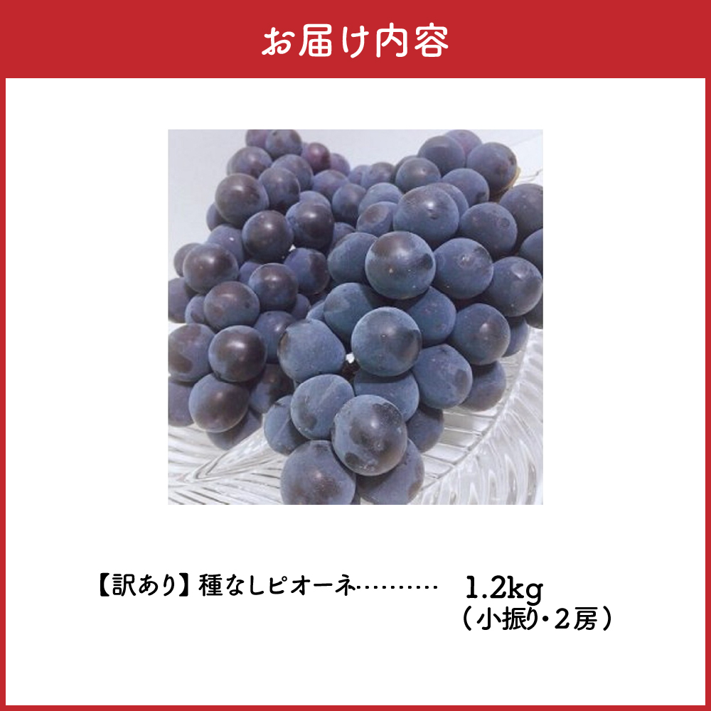 【2026年10月上旬発送】 【訳あり】ぶどう ピオーネ 種なし 1.2kg程度 （小振り・2房）