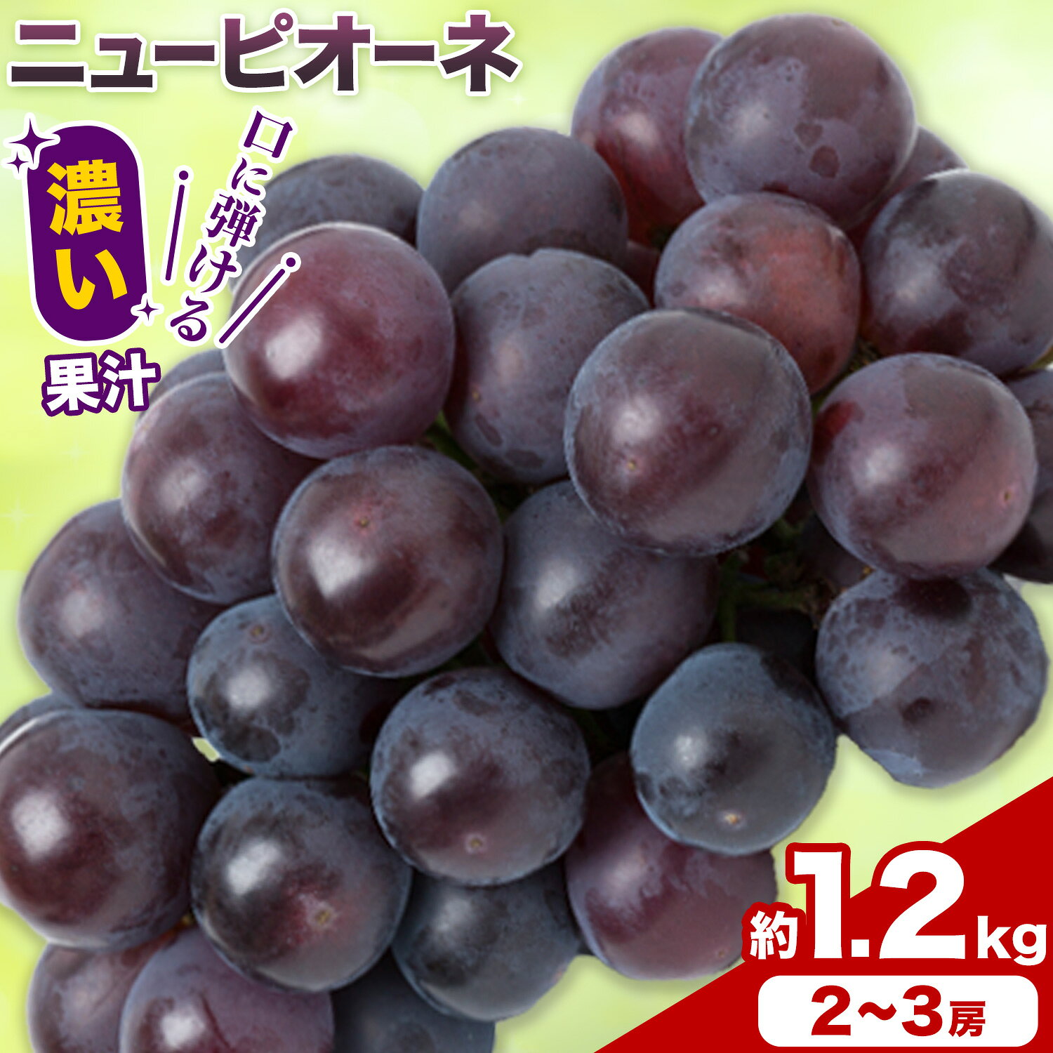 【ふるさと納税】岡山県産 ニューピオーネ 2～3房 約 1.2kg 《9月上旬-10月上旬頃に出荷予定(土日祝除く)》 岡山県 笠岡市 巨峰 ぶどう 葡萄 果物 フルーツ【配送不可地域あり】