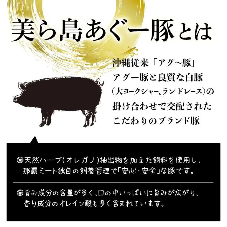 美ら島あぐー ハンバーグ 20個 セット 沖縄県 おかず 惣菜 アグー豚 使用 冷凍 4個×5パック 小分け おいしい 肉 糸満市 国産 肉汁 たっぷり ブランド豚 ジューシー 肉厚 お中元 ギフト 