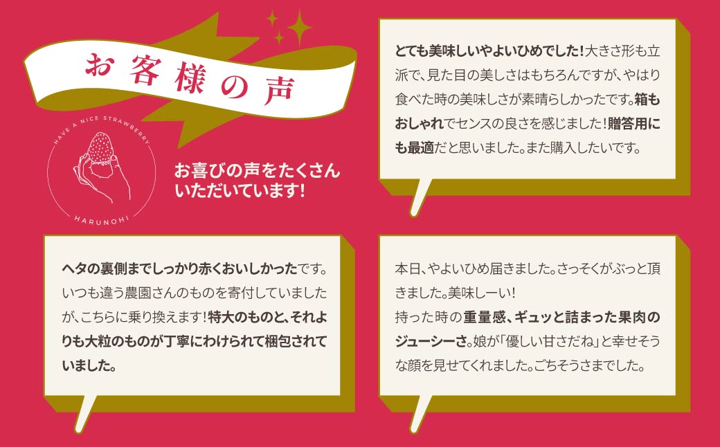 【2026年 先行予約】大粒完熟 群馬県産いちご「やよいひめ」400g×1 ｜コク 甘み 朝採れ やよいひめ 大粒 甘み 酸味 バランス 贈答用 新鮮 完熟 いちご 旬 苺 ストロベリー 産地直送 果