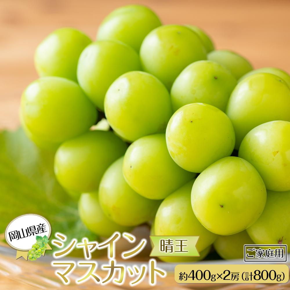 【ふるさと納税】岡山県産 ぶどう 2025年発送 ご家庭用 シャインマスカット 晴王 約400g×2房 計800g ブドウ フルーツ 果物 | フルーツ 果物 くだもの 食品 人気 おすすめ 送料無料