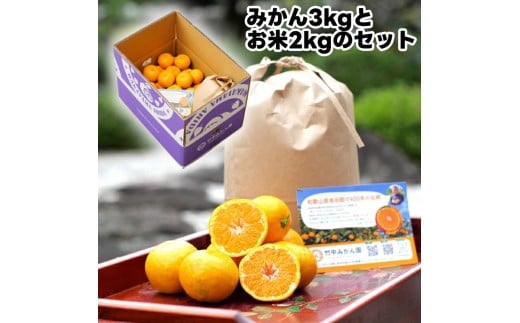 ▼由良早生みかん 3kg（サイズ混合）+米2kg(キヌヒカリ精米) ※11月上旬～順次発送予定 【tkn004-r-3setA】