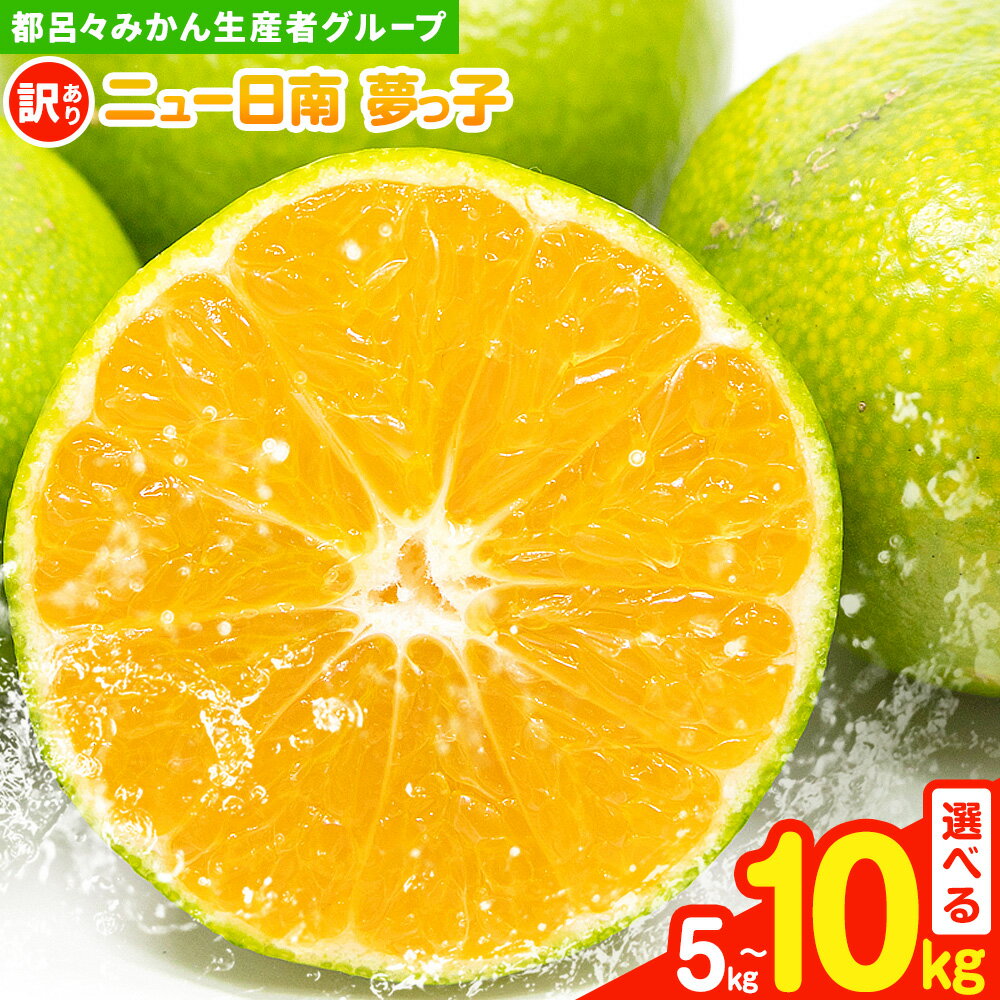 【ふるさと納税】訳あり 果物 フルーツ みかん 極早生みかん ニュー日南「夢っ子」選べる内容量 約5kg 約10kg 都呂々みかん生産者グループ《9月中旬-10月上旬頃出荷》 ミカン 蜜柑 柑橘 生産者直送 産地直送 天草 苓北 送料無料 熊本県