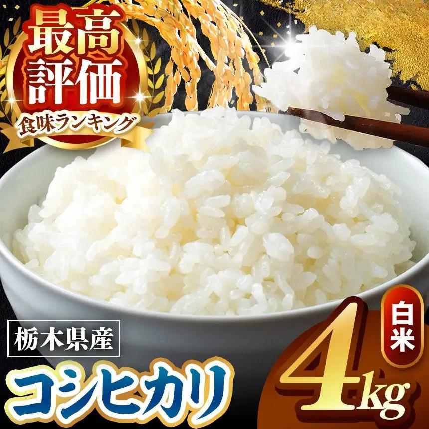 令和8年度産 先行予約 こしひかり 白米 約4kg