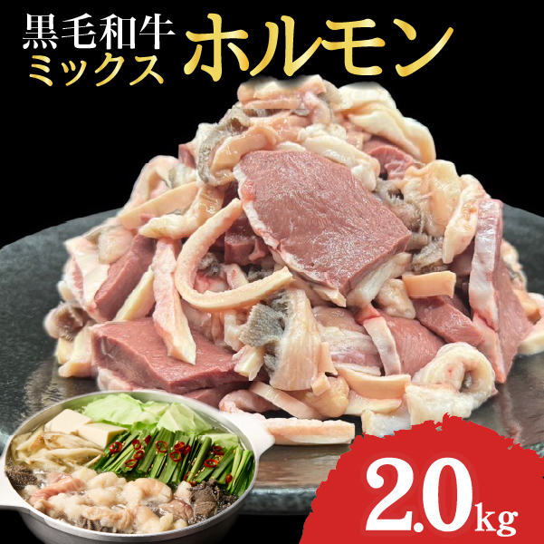 宮崎県産 ミックス ホルモン 500g×4P 計2.0kg（牛肉 肉 ホルモン 黒毛和牛 もつ鍋 焼肉 鍋）