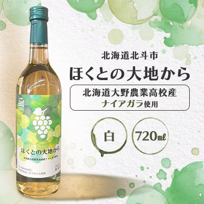 
            白ワイン「ほくとの大地から」～北海道大野農業高校産ナイアガラ～白720ml 【 ふるさと納税 人気 おすすめ ランキング ワイン 白ワイン ライト 720ml 葡萄 ぶどう 果実酒 お酒 セット 詰合せ ギフト 贈答 贈り物 プレゼント お祝い 北海道 北斗市 送料無料 】 HOKJ008
          