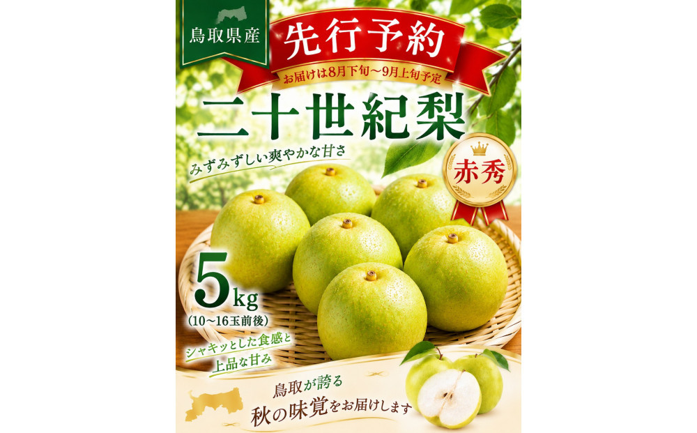 東商果樹園 二十世紀梨(赤秀)5kg 【鳥取県 境港市】