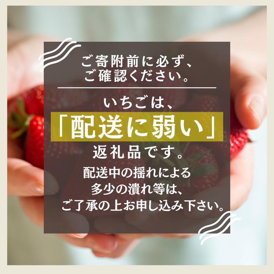 【先行予約＿2026年出荷分】 完熟いちご280g かおり野 2パック（DXパック） 【 かおり野 いちご 苺 イチゴ 果物 フルーツ くだもの 旬 伊豆 静岡県 期間限定 先行予約 】　