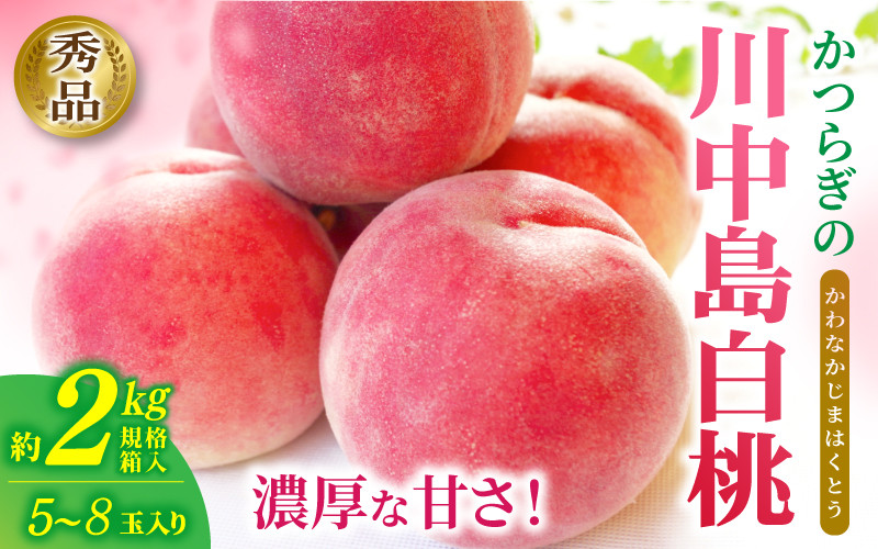 ☆先行予約☆和歌山県産川中島白桃 6～9玉入り≪秀品≫【2022年7月中旬以降発送】