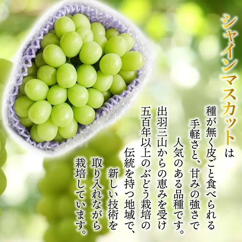 【令和8年産先行予約】シャインマスカット 約1.5kg　丸果庄内青果