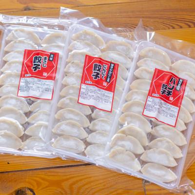 ふるさと納税 高松市 讃岐餃子3種類セット計1200g