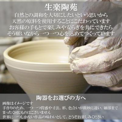 ふるさと納税 三股町 スリップウェアの小判皿(4枚)【A-1101】 |  | 03
