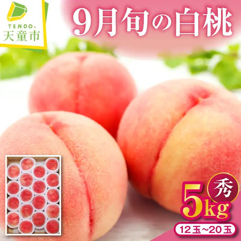 もも 9月 旬 の 白桃 5kg 山形 桃