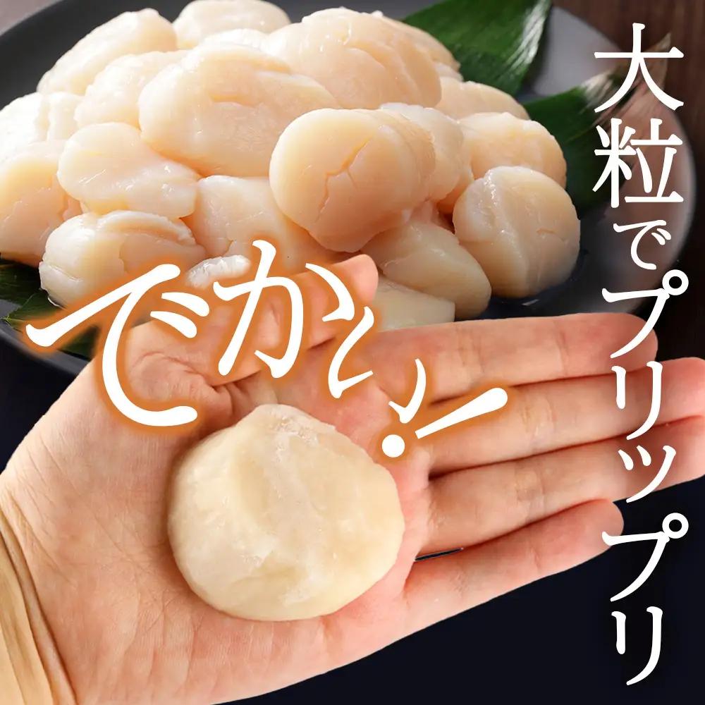 北海道産 白老加工 ホタテ玉冷大（800g）＜斉藤水産＞ AM209