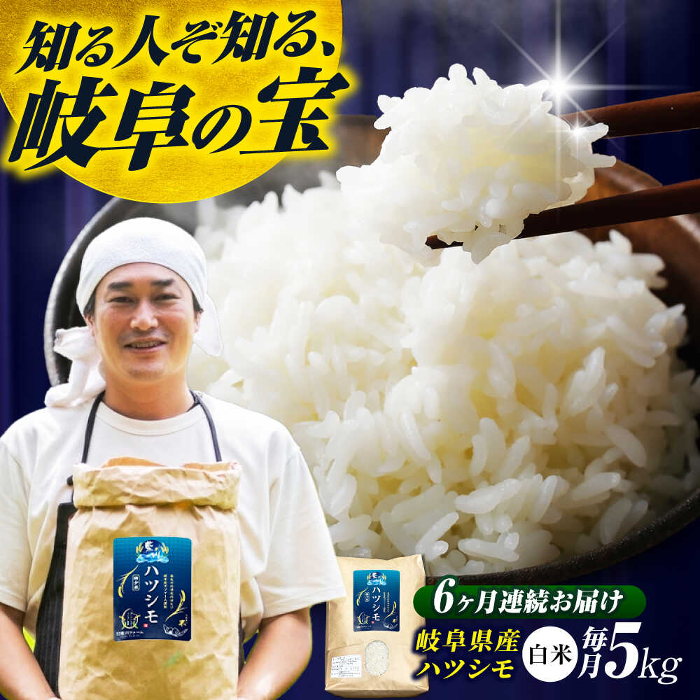 【ふるさと納税】【6回定期便】岐阜県産米ハツシモ「藍の燈」5kg ハツシモ はしつも 白米 精米 米 こめ ごはん コメ 5kg 5キロ 定期 定期便 米定期便 岐阜市 / 藍川ファーム [ANHI004]