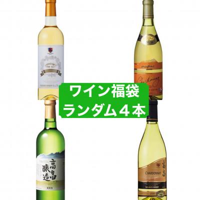 ふるさと納税 高畠町 何が届くかは運次第　高畠ワイナリーの白ワインのみ　ワイン 福袋　甘口　辛口　発泡酒
