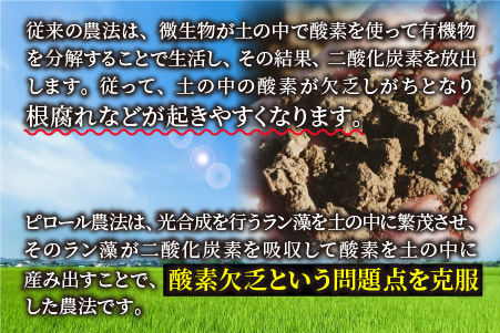 【令和6年産 新米】【3ヶ月定期便】こだわりの米！弱アルカリ性のピロール米 こしひかり 白米 5kg×3回 計15kg [C-009001]