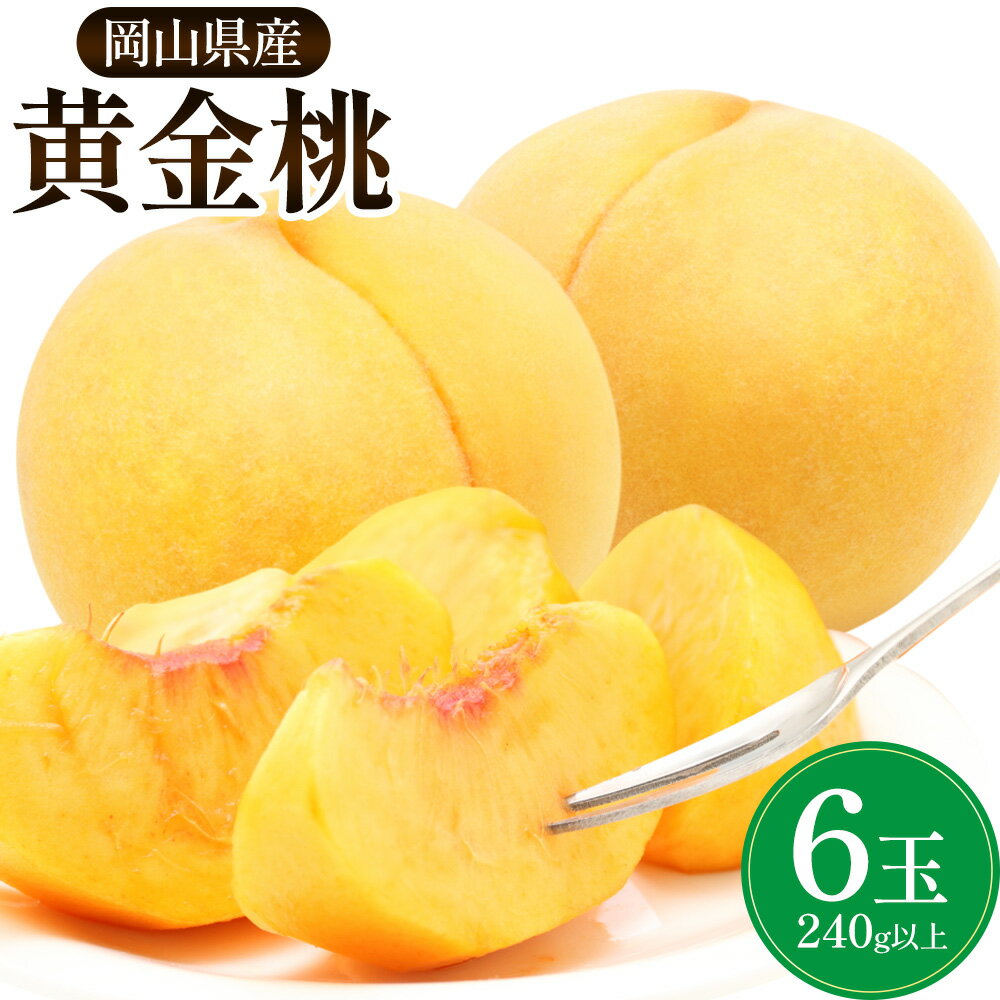 【ふるさと納税】 岡山県産 黄金桃 6玉(240g以上)《9月上旬-9月下旬頃に出荷予定》 岡山 白桃 岡山県 矢掛町 黄桃 桃 モモ 果物 スイーツ フルーツ デザート