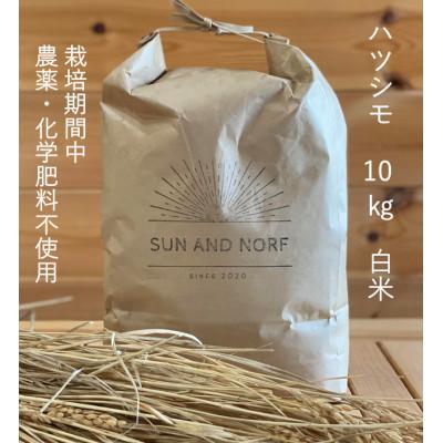 ふるさと納税 養老町 【令和7年産】初霜(源種)　白米10kg　(栽培期間中農薬・化学肥料不使用)