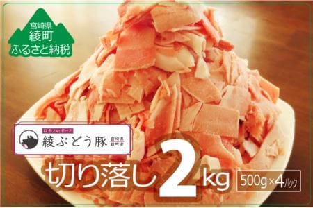 『綾ぶどう豚』モモ・ウデ切り落し2kg（36-171）