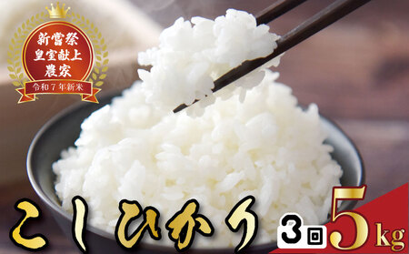 【令和7年産】  3回定期便こしひかり 新米 5kg こしひかり 精米 AS017
