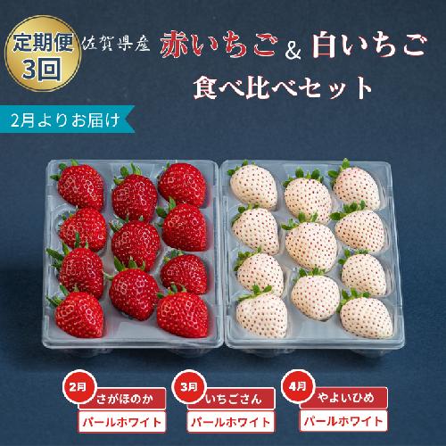 【定期便3回】赤いちご白いちご食べ比べ（2月〜4月発送）：B395-013