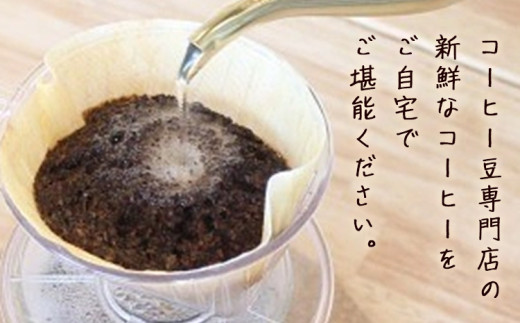 コーヒー豆セット セットB 豆のまま グアテマラ スペシャルブレンド ブラジル (各100g) ユニバース珈琲 《30日以内に出荷予定(土日祝除く)》 コーヒー 豆 セット 飲み比べ【配送不可地域あり