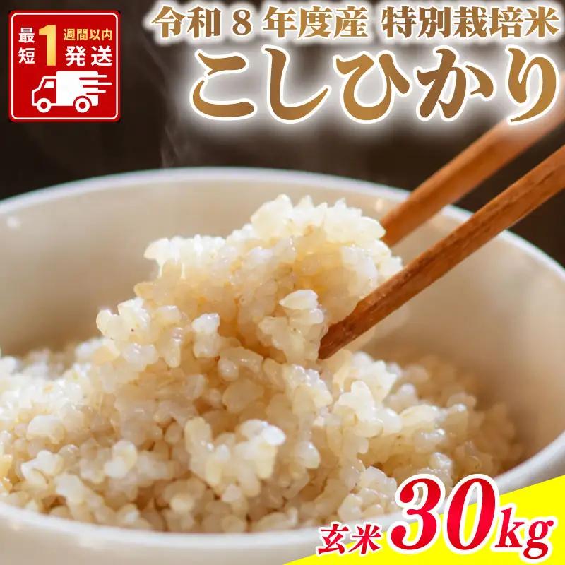 新米 こしひかり 玄米 30kg 令和8年度産 米