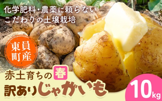 【春じゃがいも】東員町産 赤土 育ち の 訳あり じゃがいも 約10kg《5月下旬-7月下旬頃出荷(土日祝除く)》三重県 東員町 ジャガイモ じゃが芋 芋 送料無料 春じゃが