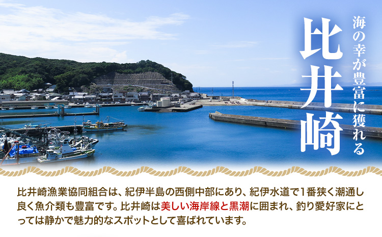 とこぶし 活け 約600g 比井崎漁業協同組合《6月上旬-9月上旬頃出荷》和歌山県 日高町 とこぶし 生もの 海鮮 貝 和歌山県産 冷蔵 ながれこ 流れ子 ナガレコ