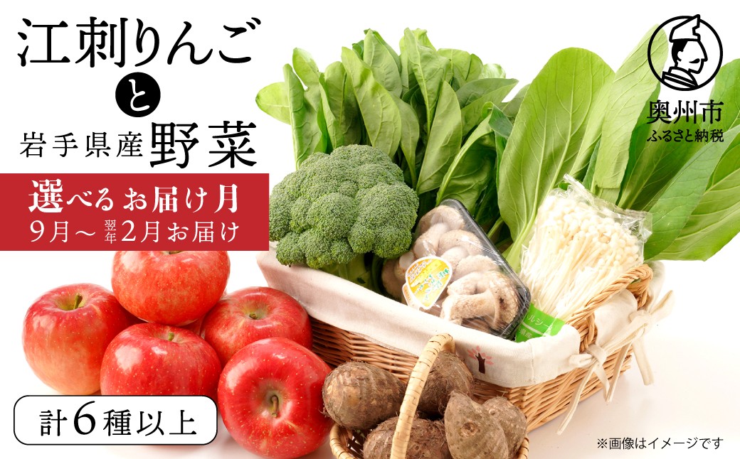 
                  江刺りんごと岩手県産野菜セット【9月～令和9年2月お届け】 りんご 林檎 おまかせ フルーツ 野菜 青果 旬 選りすぐり 詰め合わせ セット 岩手県 奥州市 冷蔵配送 離島配送不可 [AQ014-019]
                