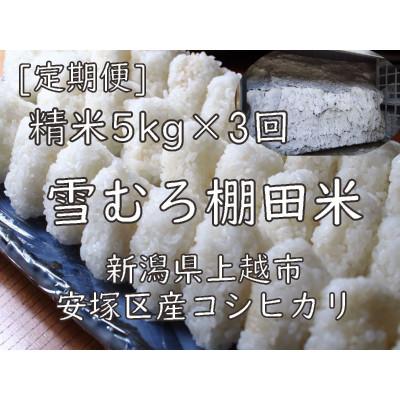 ふるさと納税 上越市 【毎月定期便】雪むろ棚田米コシヒカリ5kg(5kg×1袋)精米-新潟県上越市安塚区産-全3回